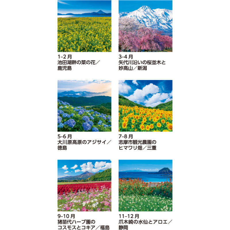 【超早割】花紀行（3）