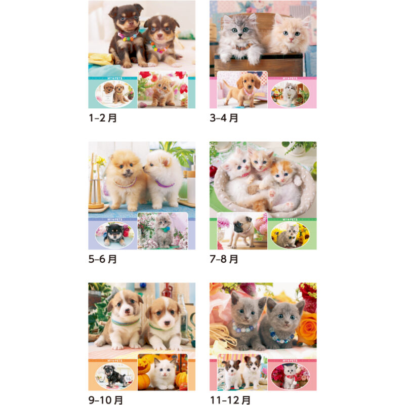 【超早割】マイペット（3）