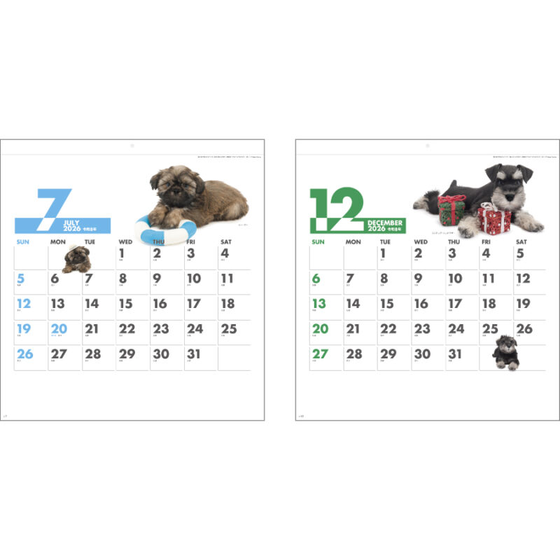 DOG・DOG・DOG（3）