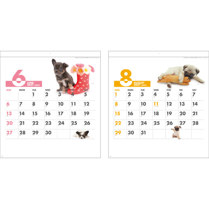 【超早割】DOG･DOG･DOG（3）