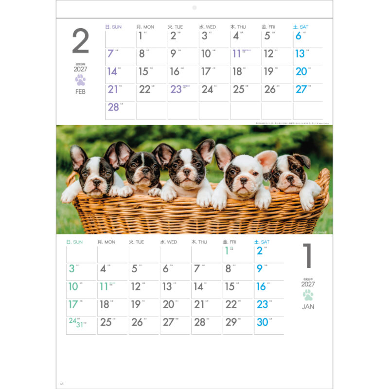 【超早割】THE DOGS（2）