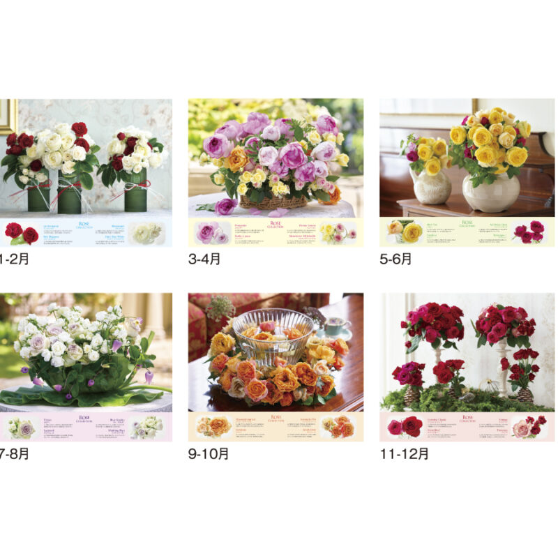 ROSE COLLECTION　-ﾛｰｽﾞｺﾚｸｼｮﾝ-（3）