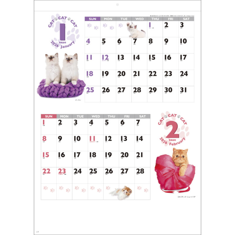 CAT・CAT・CAT（2）