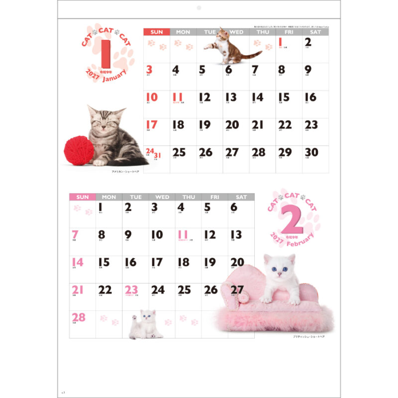 【超早割】CAT･CAT･CAT（2）
