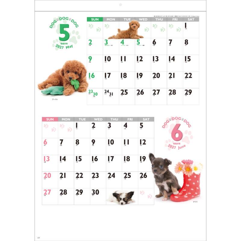 【超早割】DOG・DOG・DOG