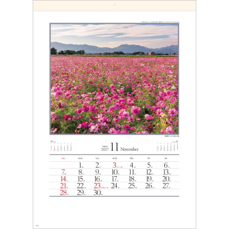【超早割】四季十二彩（2）