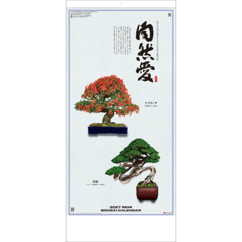 【超早割】自然愛〈盆栽〉