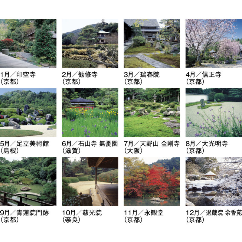 春秋の庭（3）
