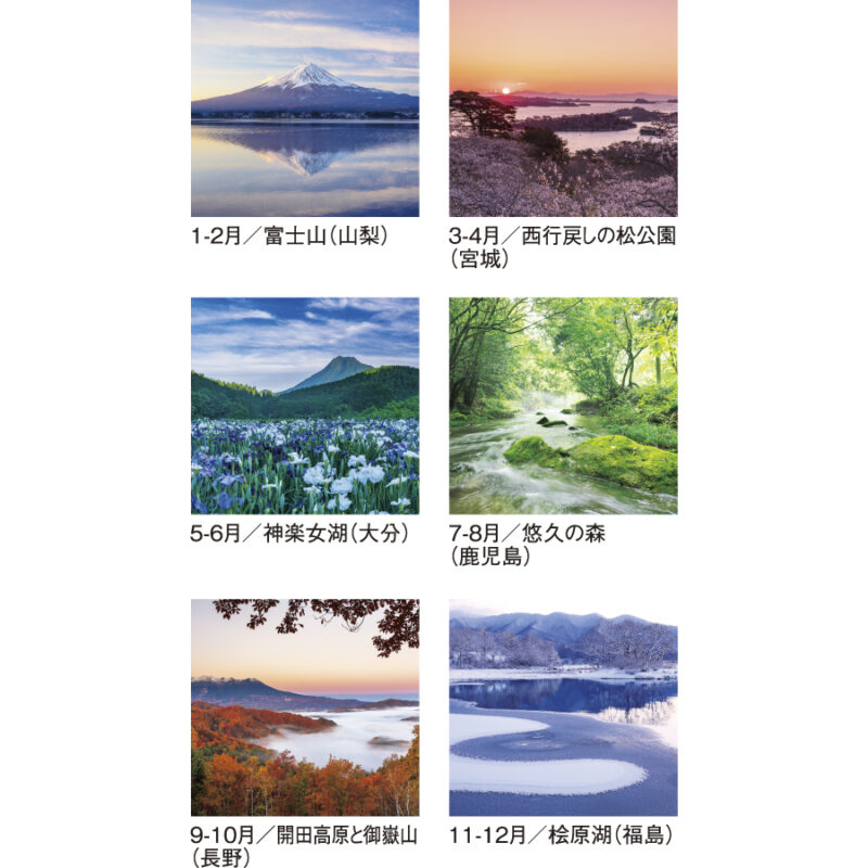 四季光耀（3）