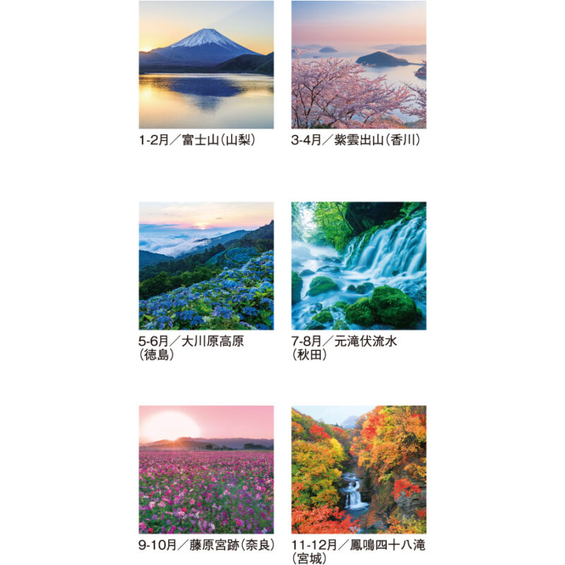 【超早割】四季光耀 フィルム（3）