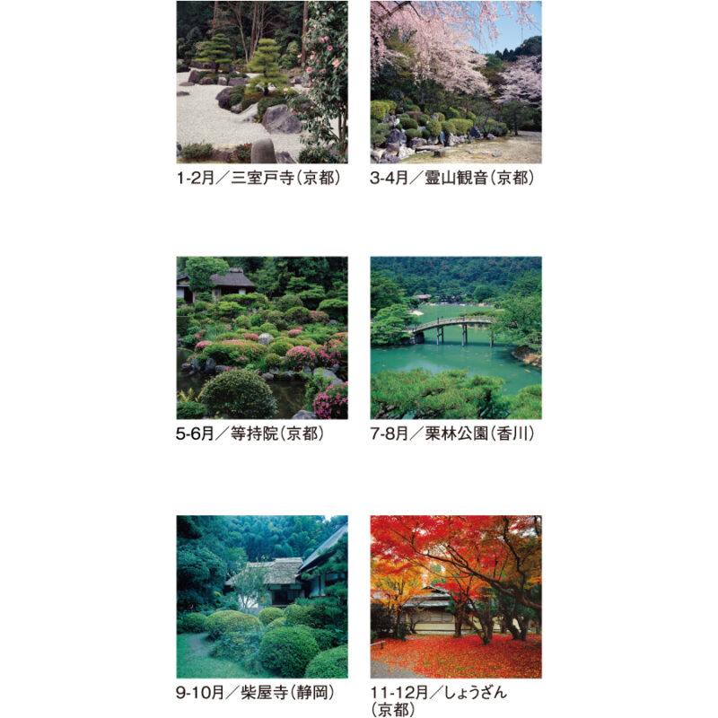 【超早割】名苑 フィルム（3）