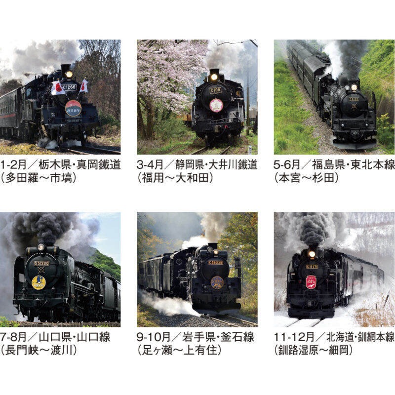 雄姿（3）