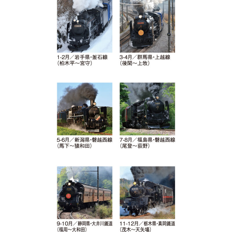 【超早割】雄姿（3）