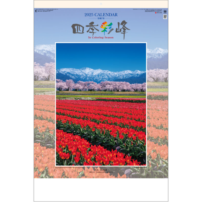 四季彩峰