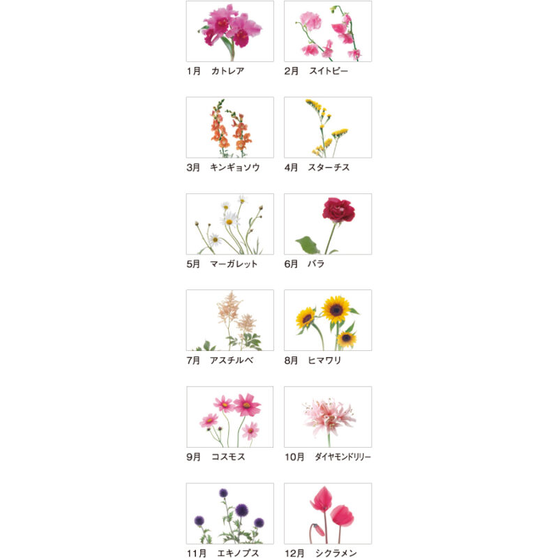 【超早割】花時間（3）