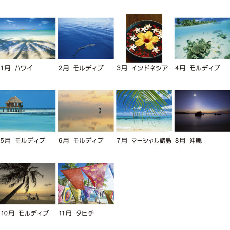癒しの楽園　～三好和義作品集～（3）