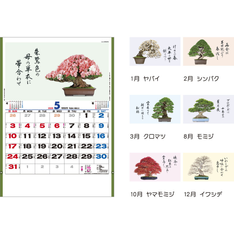盆栽逸品集（3）