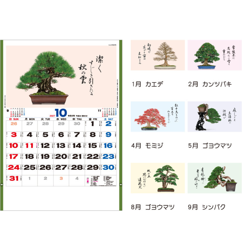 【超早割】盆栽逸品集（3）