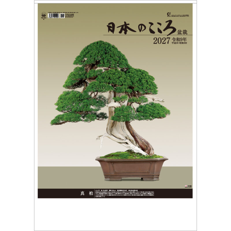 【超早割】日本のこころ(盆栽)