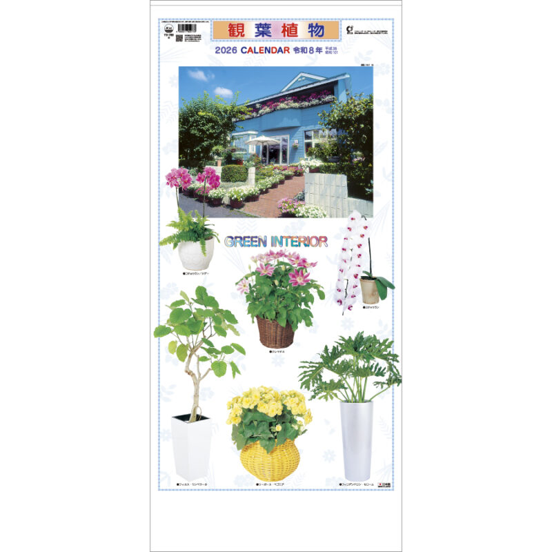 観葉植物