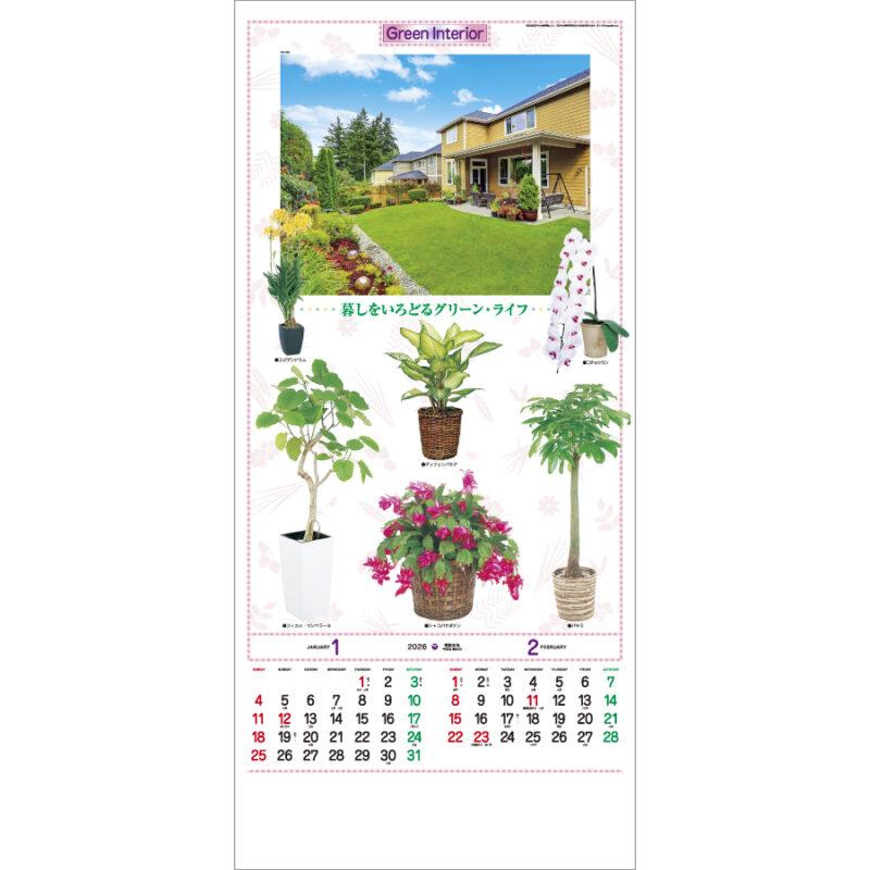 観葉植物（2）