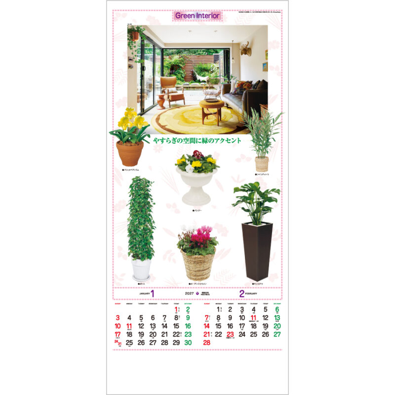 【超早割】観葉植物（2）
