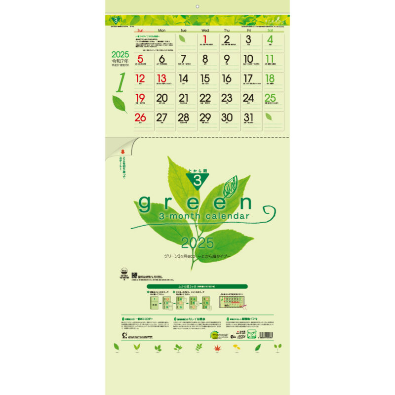 グリーン3ヶ月eco　-上から順タイプ-