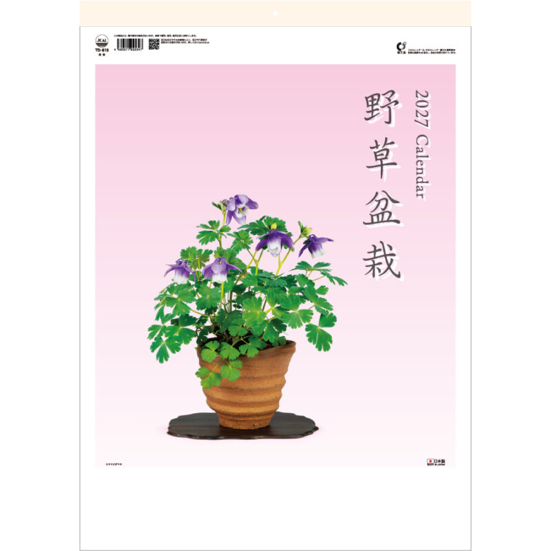 【超早割】野草盆栽