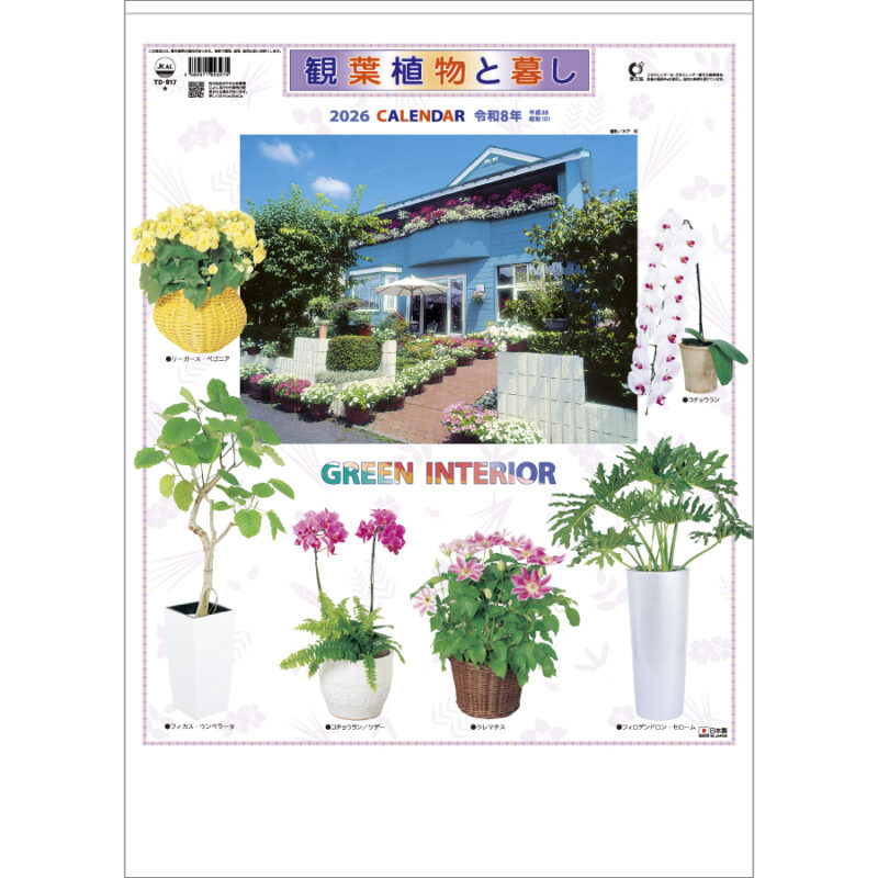 観葉植物と暮し