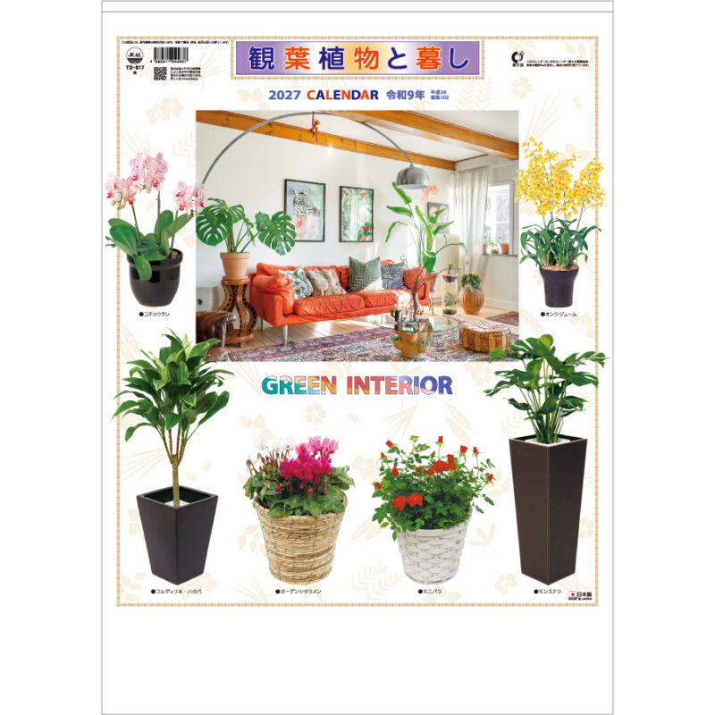 【超早割】観葉植物と暮し