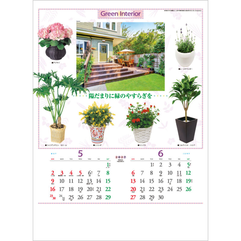 【超早割】観葉植物と暮し（2）