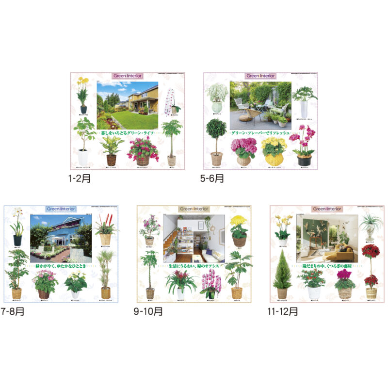 観葉植物と暮し（3）