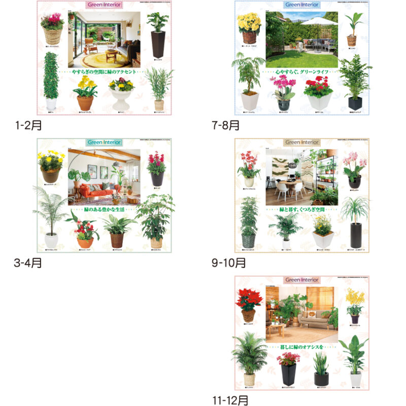 【超早割】観葉植物と暮し（3）