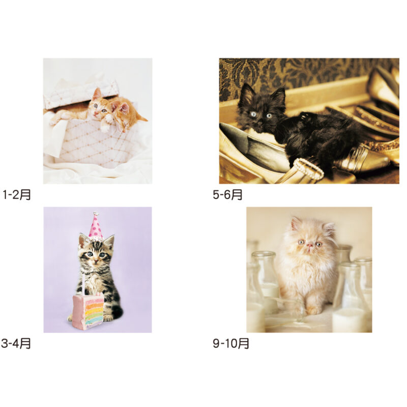 【超早割】ラヴ･キャット～レイチェル･ヘイル作品集～（3）