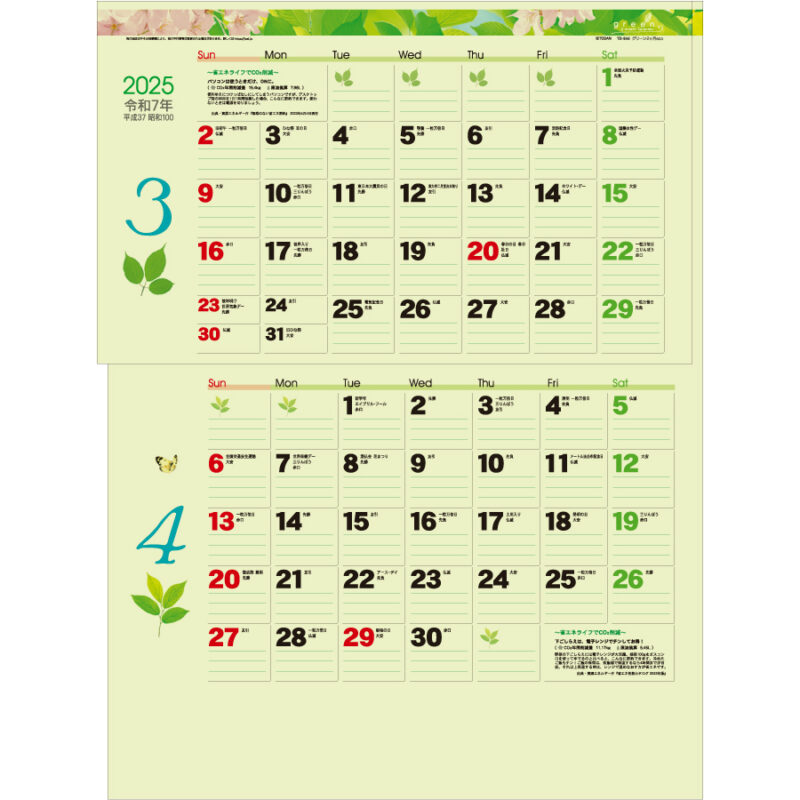 グリーン２ヶ月ｅｃｏ（１５ヶ月）（3）