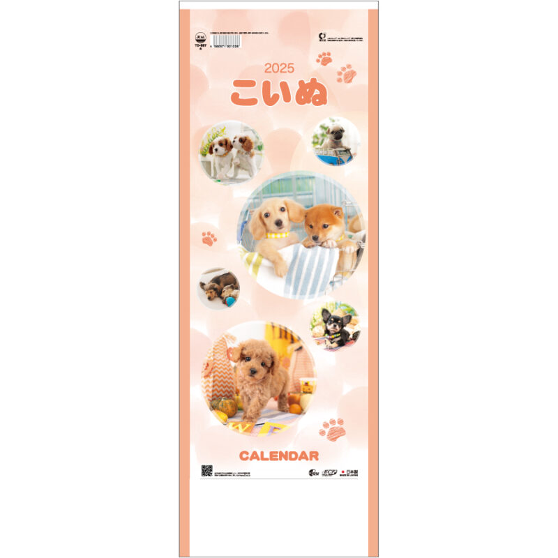こいぬ
