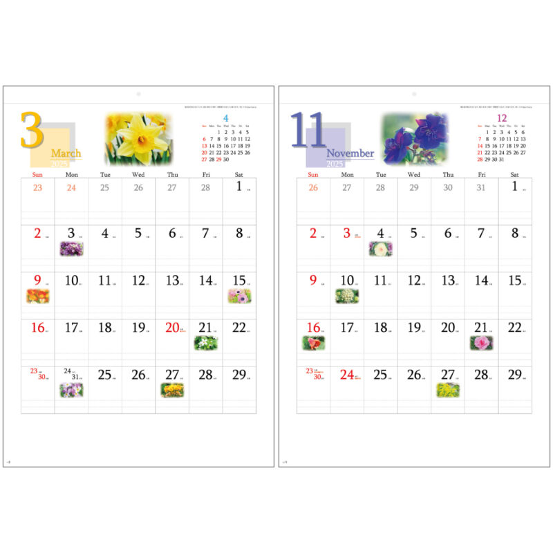 四季の花もよう（3）
