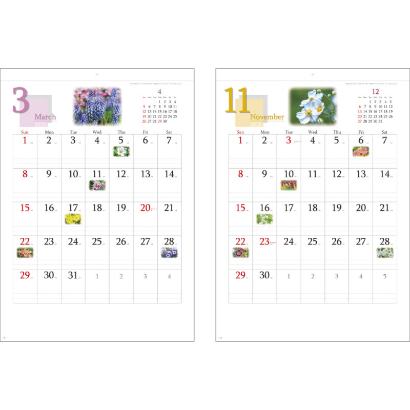 四季の花もよう（3）
