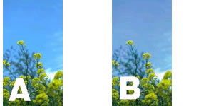 ※左[A]が RGBのままの画像、右[B]が 一度CMYKに分解した画像。