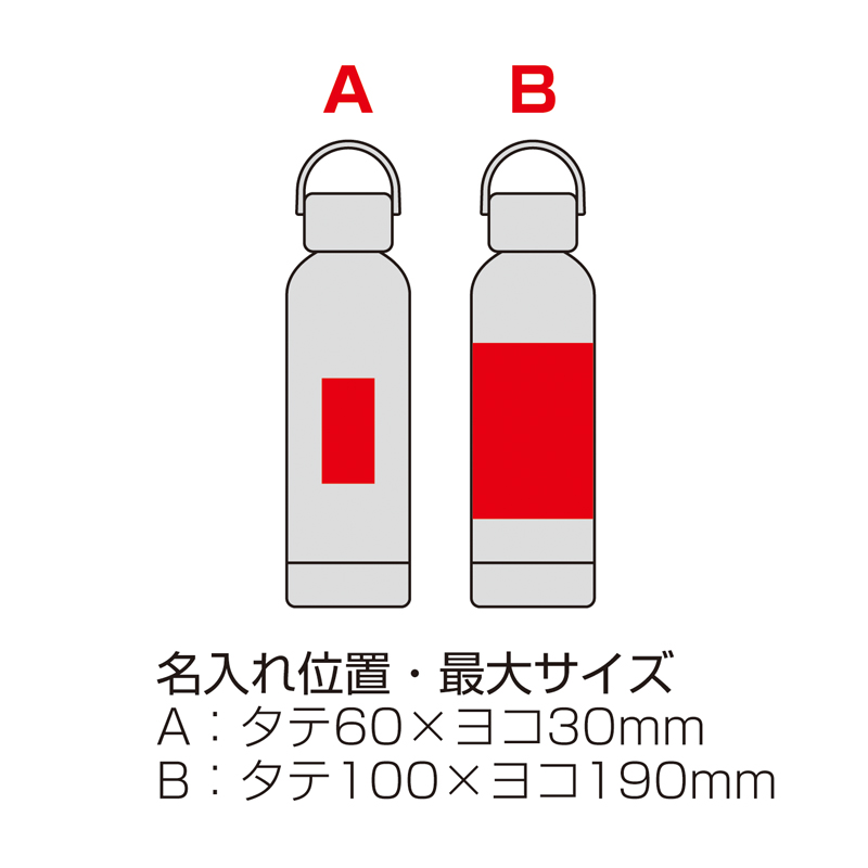 ナチュラルバンブー真空ステンレスボトル（6）