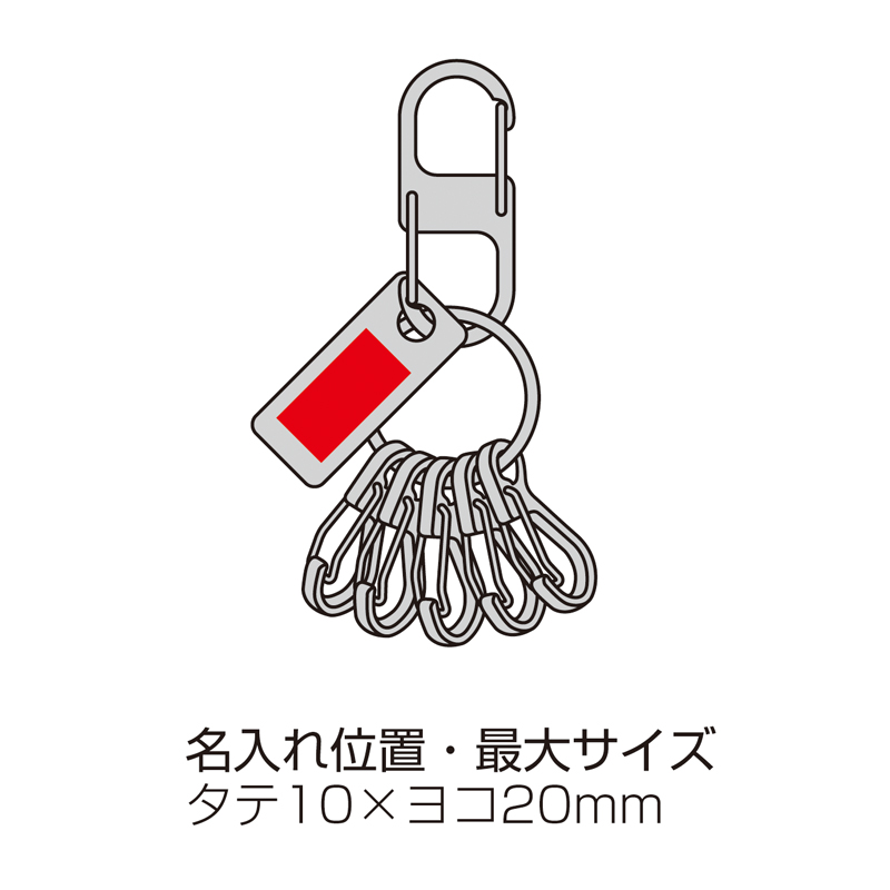 5カラビナキーホルダー(プレート付き)（3）
