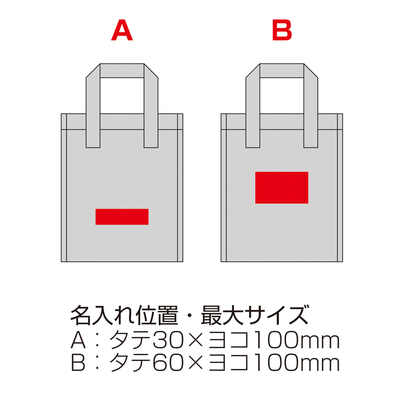 600mlボトルが6本入る保冷温バッグ（4）