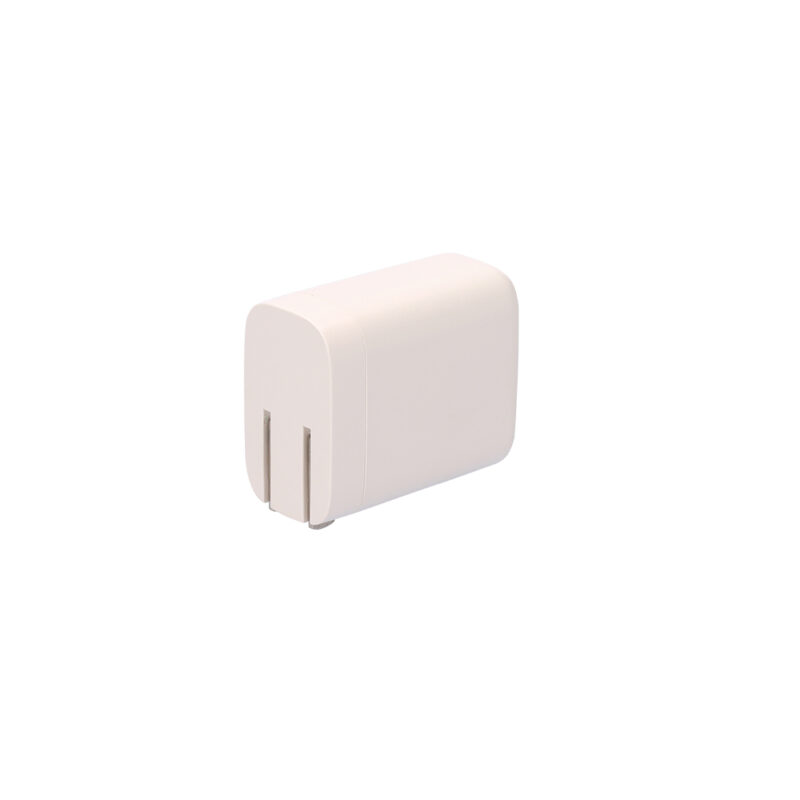 2ポートアダプター45W（3）