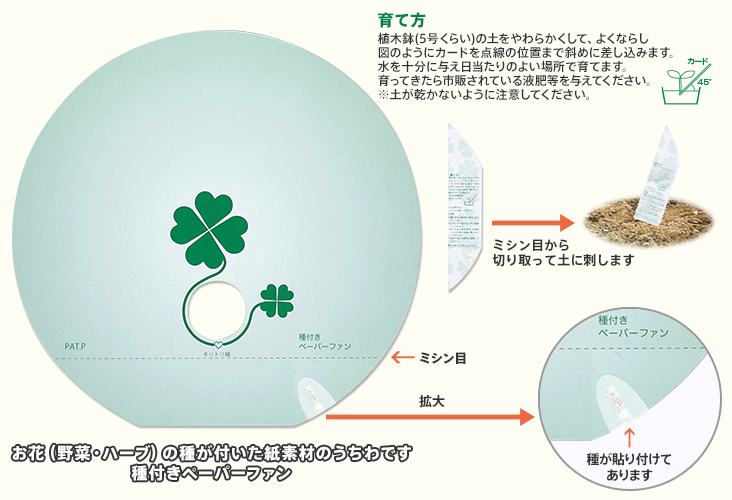 種付きペーパーファン（2）
